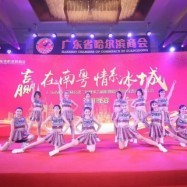 專業(yè)攝像服務(wù)，為深圳演出公司打造精彩視覺盛宴